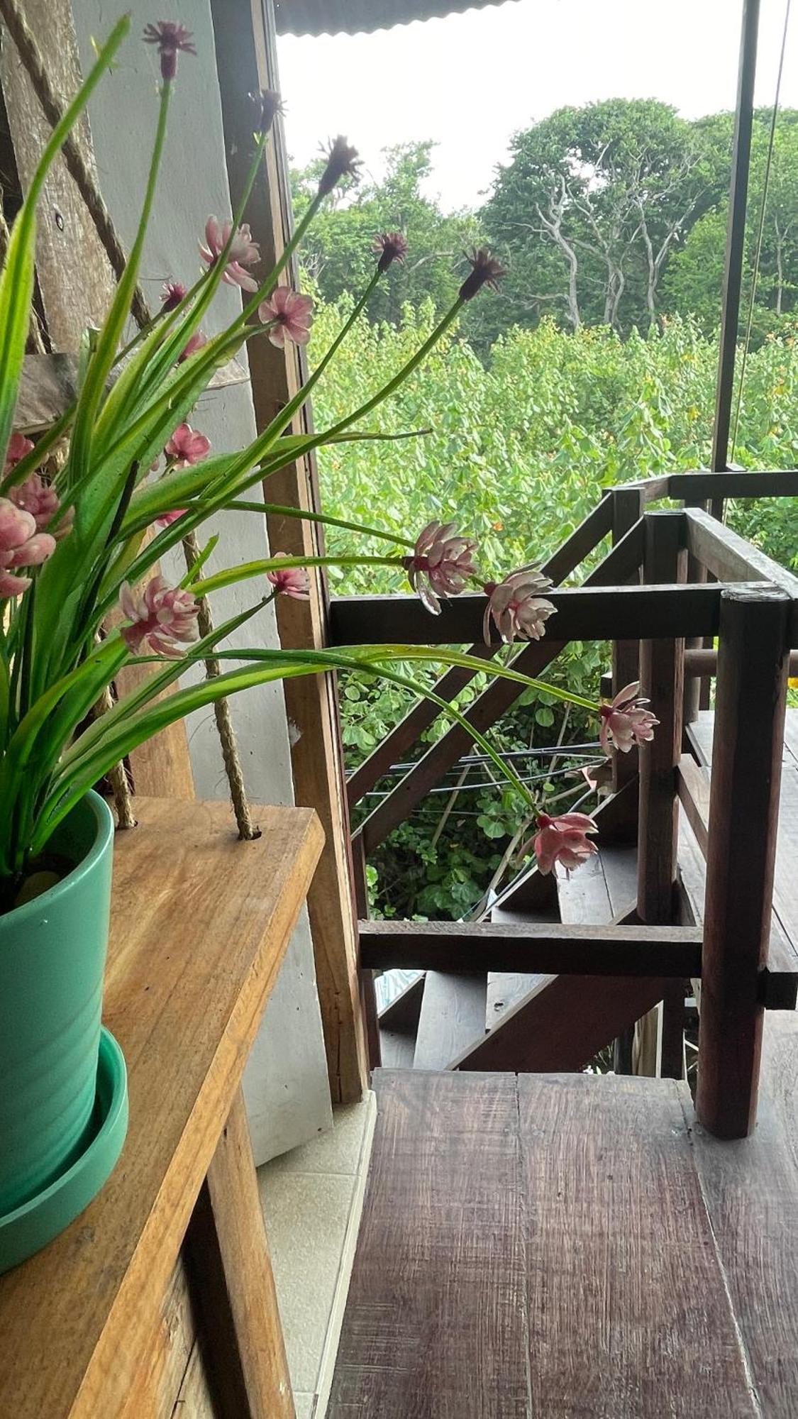 Hostal Velero Relax Guachaca Eksteriør bilde